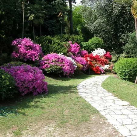 Primavera Baveno