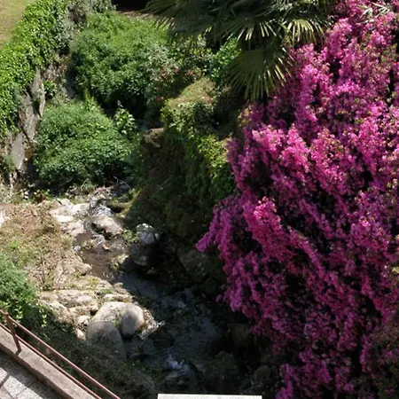 Apartament Primavera *