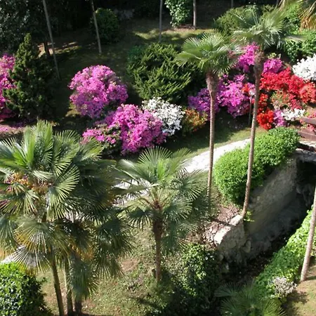 Primavera *